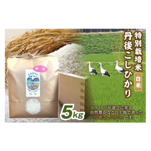 ふるさと納税 米 コシヒカリ 京都府 京丹後市 令和7年産 丹後こしひかり 白米5kg 特別栽培米 新米 米 ブランド米 精米 特別栽培 白米 特別栽培米 令和7年度…