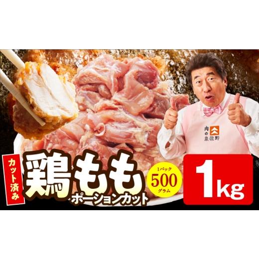 ふるさと納税 鶏肉 大阪府 泉佐野市 特別規格 国産 鶏もも肉 ポーションカット 1kg カット済み 氷温熟成×極味付け 小分け 味付き 簡単調理 訳あり サイズ不…