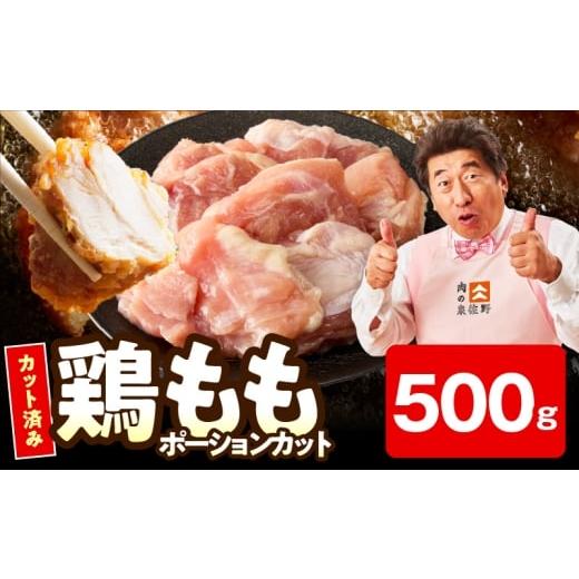 ふるさと納税 鶏肉 大阪府 泉佐野市 お試し規格 国産 鶏もも肉 ポーションカット 500g カット済み 氷温熟成×極味付け 小分け 味付き 簡単調理 訳あり サイズ…