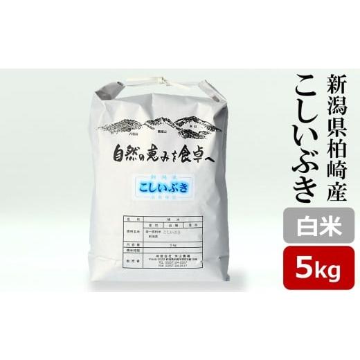 ふるさと納税 米 新潟県 柏崎市 令和7年産米 こしいぶき 白米 5kg 新潟米