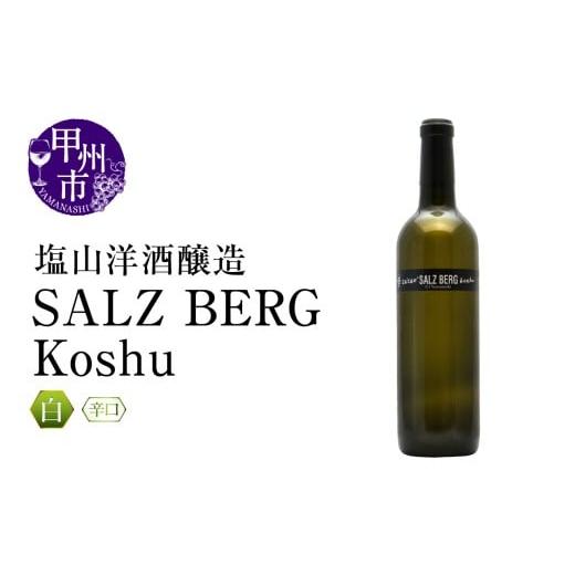 ふるさと納税 ワイン 白ワイン 山梨県 甲州市 塩山洋酒醸造 SALZ BERG Koshu(RC)B-642 ワイン 塩山洋酒醸造 白ワイン 甲州市 山梨県