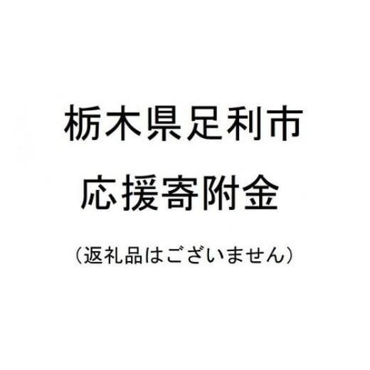ふるさと納税 感謝状等 栃木県 足利市 返礼品なし 栃木県足利市応援寄附金 2,000円 F7Z-B002 2,000円
