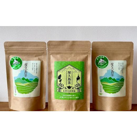 ふるさと納税 お茶類 緑茶(茶葉・ティーバッグ) 鹿児島県 屋久島町 屋久島産 さえみどり煎茶リーフ&ティーバッグ茶2本セット