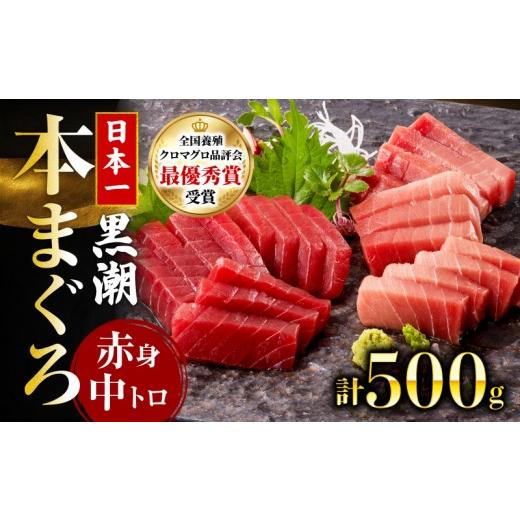 ふるさと納税 寿司 高知県 宿毛市 本マグロ2種セット ( 中トロ・赤身 ) 約500g (高知道水) 2種セット(中トロ・赤身)約500g (20,000円)