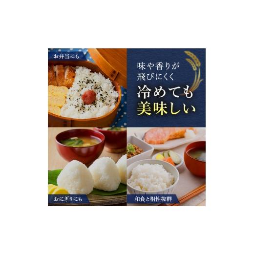 ふるさと納税 米 北海道 仁木町 2026年産米 新米 予約 6ヵ月連続お届け 銀山米研究会のお米 ななつぼし 2kg（2kg×1袋） ご飯 ライス 白米 精米 ブランド米 …