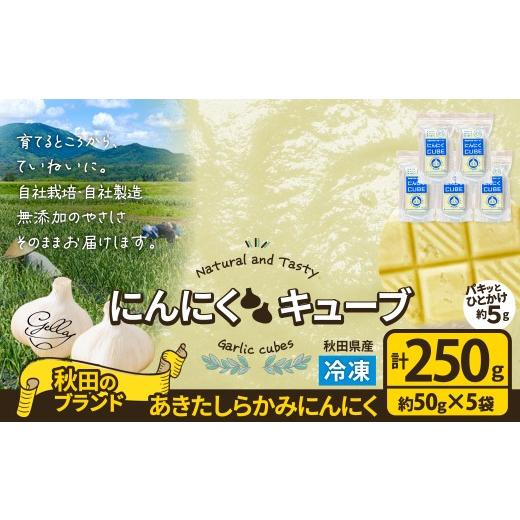 ふるさと納税 野菜類 薬味 秋田県 大館市 あきたしらかみにんにく にんにくCUBE 250g(1袋約50g×5袋)75P3206 / にんにく ニンニク 東北 秋田 大館 国産 …