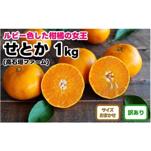 ふるさと納税 みかん・柑橘類 和歌山県 有田川町 訳あり せとか 1kg M〜2Lサイズおまかせ 高石垣ファーム