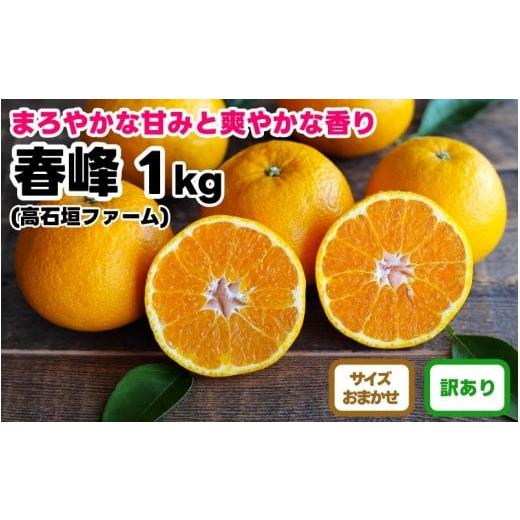 ふるさと納税 みかん・柑橘類 和歌山県 有田川町 訳あり 春峰 1kg M〜2Lサイズおまかせ 高石垣ファーム