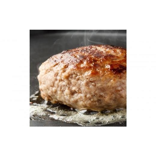 ふるさと納税 惣菜・レトルト 冷凍 大阪府 堺市 化学調味料保存料不使用無添加 牛肉100% ハンバーグ 120g×10個セット