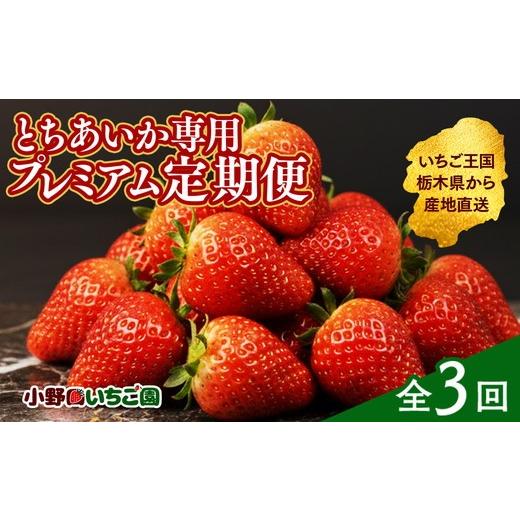 ふるさと納税 いちご 栃木県 壬生町 定期便3ヶ月 とちあいか専用 プレミアム定期便 | とちあいか イチゴ 苺 栃木県 果物 フルーツ 栃木県 壬生町 産地直送 2…