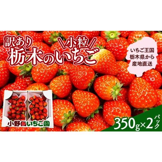 ふるさと納税 いちご 栃木県 壬生町 訳あり 小粒いちご | とちおとめ とちあいか イチゴ 苺 栃木県 果物 フルーツ 栃木県 壬生町 産地直送 2026年3月上旬〜5…
