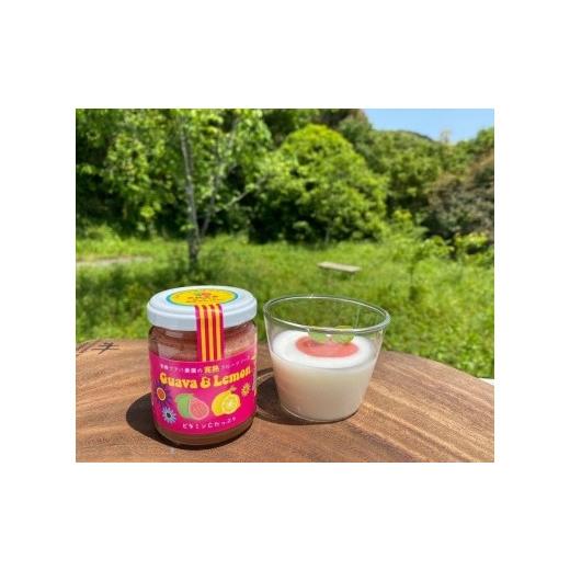 ふるさと納税 缶詰・瓶詰 ソース 高知県 南国市 3回定期便 有機グァバ農園の完熟フルーツソース Guava&Lemon(グァバ&レモン) 100g 2個 | フルーツ ソース …