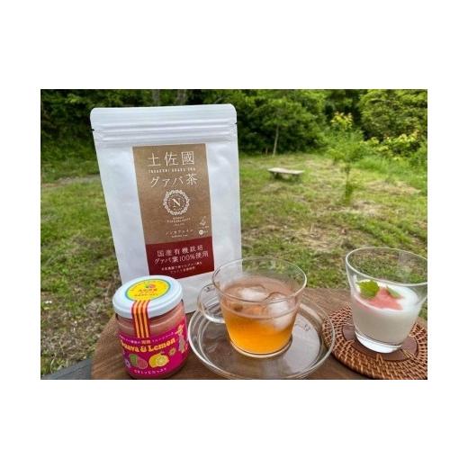 ふるさと納税 缶詰・瓶詰 ソース 高知県 南国市 12回定期便 有機グァバ農園の完熟フルーツソースと土佐國グァバ茶セット | 定期便 お茶 飲料 茶 おちゃ 飲み…