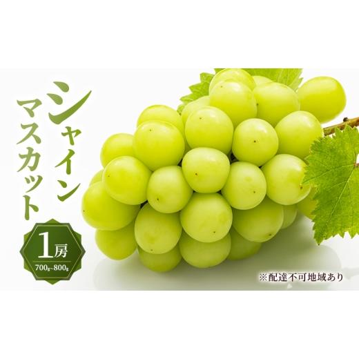 ふるさと納税 ぶどう マスカット 岡山県 瀬戸内市 ぶどう 2026年 先行予約 シャイン マスカット 1房 700g〜800g 大粒 種無し ブドウ 葡萄 岡山県産 国産 フル…