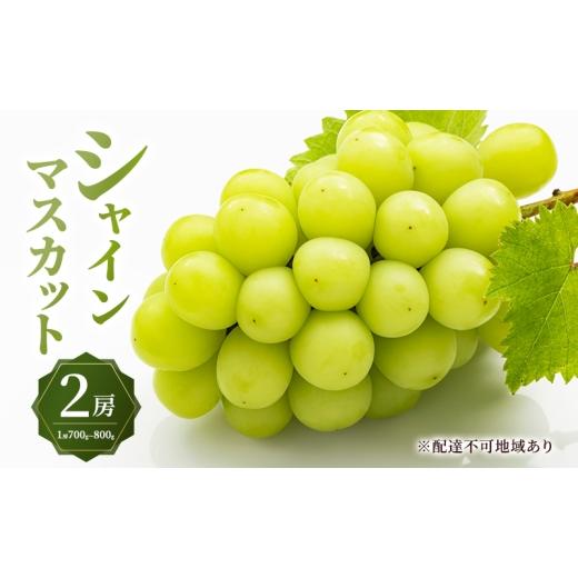 ふるさと納税 ぶどう マスカット 岡山県 瀬戸内市 ぶどう 2026年 先行予約 シャイン マスカット 2房 (1房700g〜800g) 大粒 種無し ブドウ 葡萄 岡山県産 国…