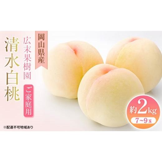 ふるさと納税 もも 岡山県 里庄町 2026年先行予約 桃 岡山県産 ご家庭用 清水 白桃 約2kg(7〜9玉)[2026年7月中旬-8月上旬頃出荷] 白桃 岡山 はくとう ス…