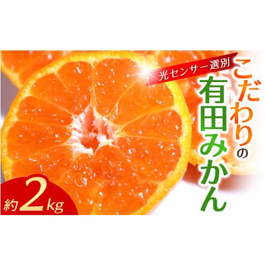 ふるさと納税 果物類 みかん 和歌山県 古座川町 2026年10月発送予約分 ＼光センサー選別/農家直送 こだわりの有田みかん 約2kg ご家庭用 10月発送 みかん ミ…