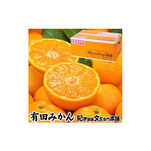 ふるさと納税 果物類 みかん 和歌山県 美浜町 ブランド 有田 みかん 秀品 約2.8kg サイズおまかせ