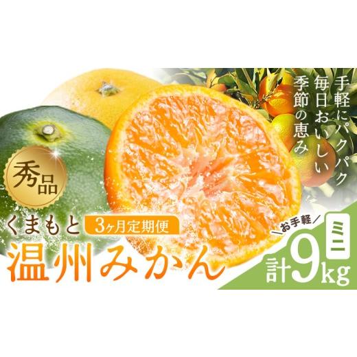 ふるさと納税 みかん・柑橘類 熊本県 荒尾市 秀品 温州みかん 3ヶ月 定期便 ミニ 計9kg 日本フルーツ株式会社[10月上旬-12月末頃出荷]熊本県 荒尾市 みかん …