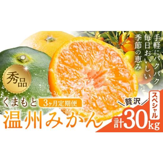 ふるさと納税 みかん・柑橘類 熊本県 荒尾市 秀品 温州みかん 3ヶ月 定期便 スペシャル 計30kg 日本フルーツ株式会社[10月上旬-12月末頃出荷]熊本県 荒尾市 …