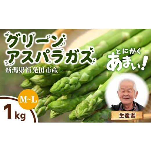 ふるさと納税 野菜類 アスパラガス 新潟県 新発田市 とにかく甘い グリーンアスパラガス M~Lサイズ 1kg アスパラ 甘い 太い 柔らかい 新潟 新発田 朝採り 新…