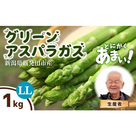 ふるさと納税 野菜類 アスパラガス 新潟県 新発田市 とにかく甘い グリーンアスパラガス LLサイズ 1kg アスパラ 甘い 太い 柔らかい 新潟 新発田 朝採り 新鮮…