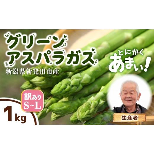 ふるさと納税 野菜類 アスパラガス 新潟県 新発田市 とにかく甘い 訳あり アスパラガス S~Lサイズ 1kg アスパラ 甘い 太い 柔らかい 新潟 新発田 朝採り 新鮮…