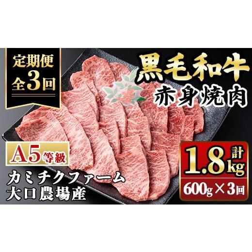ふるさと納税 牛肉 焼肉・バーベキュー 鹿児島県 伊佐市 isa848 定期便3回 鹿児島県(カミチクファーム 大口農場)産 黒毛和牛赤身焼肉(計1.8kg) 黒毛和牛 赤身 …