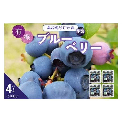 ふるさと納税 果物類 島根県 浜田市 先行予約 有機ブルーベリー 100g×4パック(島根県浜田市産) フルーツ 果物 有機 ブルーベリー 安心 安全 大粒 208_0001…