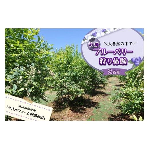 ふるさと納税 体験チケット 島根県 浜田市 有機ブルーベリー狩り体験2名様(浜田市弥栄町「やさかファーム阿郷の里」) 観光 レジャー ブルーベリー狩り 体験…