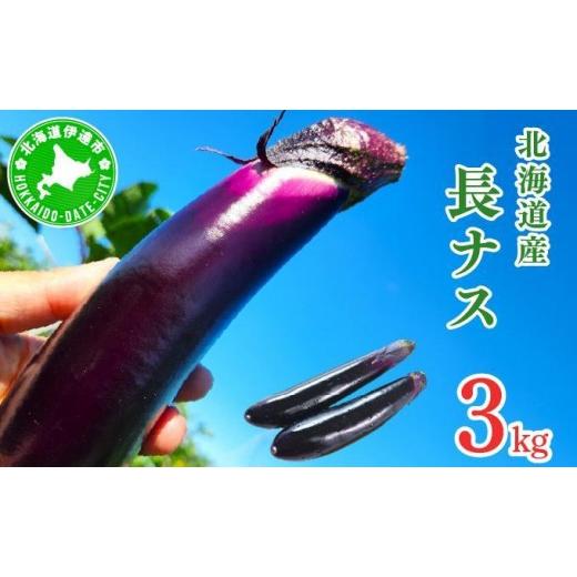 ふるさと納税 野菜類 茄子 北海道 伊達市 先行予約 北海道伊達産 長ナス 3kg 詰め 2026年発送 ogr-001