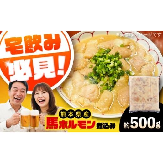 ふるさと納税 馬肉 熊本県 菊陽町 純国産馬 馬ホルモン煮込み 約500g / 馬肉 ホルモン 煮込み 熊本県 菊陽町 株式会社古閑ファーム