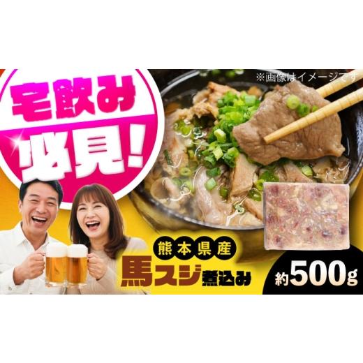 ふるさと納税 馬肉 熊本県 菊陽町 純国産馬 馬スジ煮込み 約500g / 馬肉 馬すじ 馬スジ 煮込み 熊本県 菊陽町 株式会社古閑ファーム