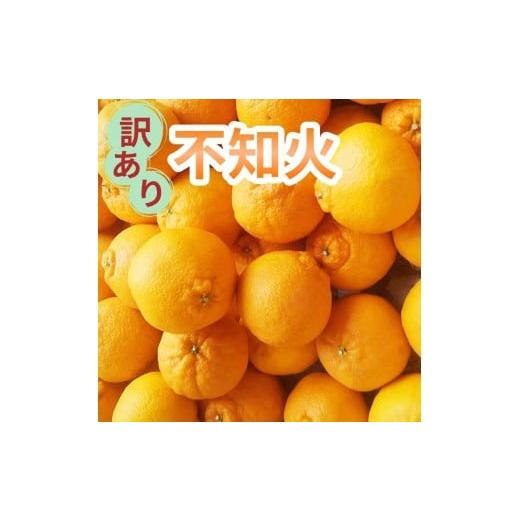 ふるさと納税 みかん・柑橘類 デコポン 和歌山県 太地町 ＼光センサー選別/ 訳あり ちょこっと訳あり不知火デコポン 約7kg ご家庭用 先行予約 訳あり デコポ…