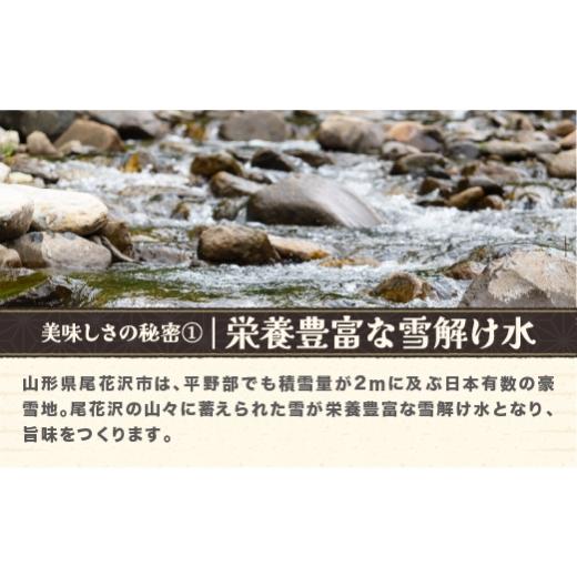 ふるさと納税 玄米 山形県 尾花沢市 令和7年産 玄米 雪若丸 30kg 8月下旬発送 ja-ywgxa30-8s 令和8年8月下旬発送の画像