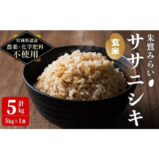 ふるさと納税 米 ササニシキ 宮城県 登米市 宮城県認証 農薬・化学肥料不使用 ササニシキ 玄米 5kg(5kg×1袋) 朱鷺みらい 玄米 登米市産 お米 おこめ 米 コメ…