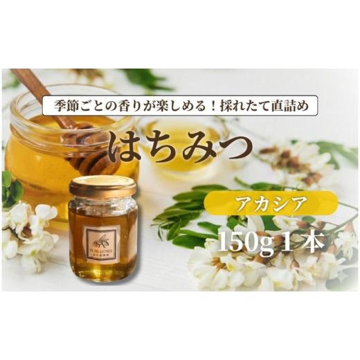ふるさと納税 加工品等 はちみつ 長野県 上田市 アカシアはちみつ S 1個|はちみつ・純粋|長野県・信州・上田産|あっさり・上品・甘さ・透明感・さらり・な…