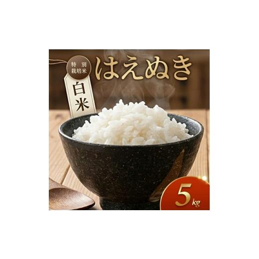 ふるさと納税 米 はえぬき 山形県 遊佐町 特別栽培米 はえぬき 5kg 白米 令和7年産 山形県産 東北 山形県 遊佐町 庄内地方 米 お米 庄内米 精米 ご飯 ごはん …