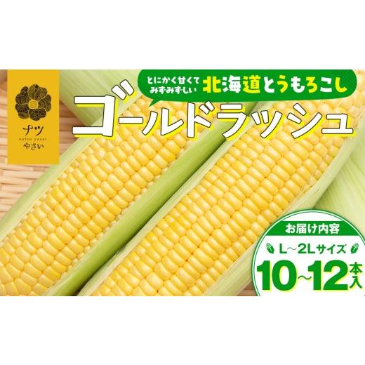 ふるさと納税 とうもろこし 北海道 津別町 先行受付 R8年産 トウモロコシ(ゴールドラッシュ) 10〜12本 ピンクの八百屋〜ナツやさい〜 | 北海道津別町