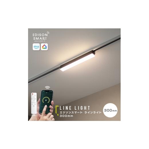 ふるさと納税 雑貨・日用品 福岡県 福岡市 エジソンスマート ラインライト 300mm for ダクトレール ブラック 福岡市