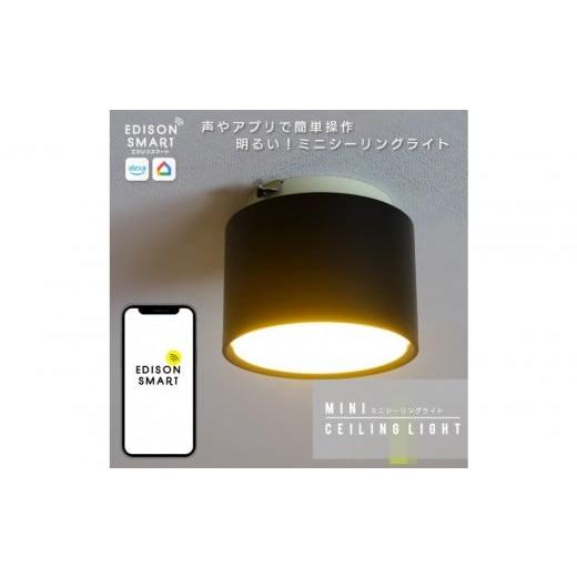 ふるさと納税 照明関連 福岡県 福岡市 エジソンスマートミニシーリングライト 引掛けシーリング用 ブラック 福岡市 ブラック