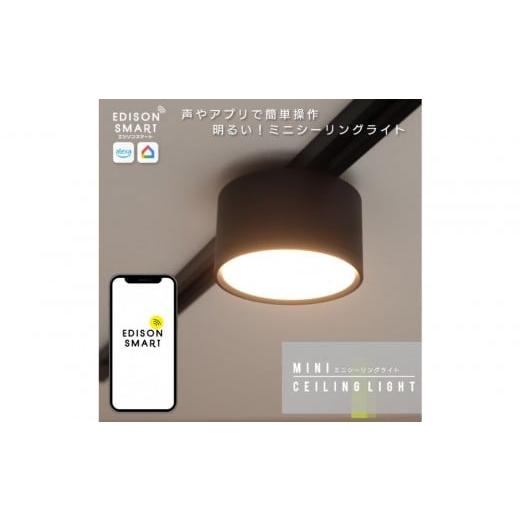 ふるさと納税 照明関連 福岡県 福岡市 エジソンスマートミニシーリングライト for ダクトレール ブラック 福岡市 ブラック