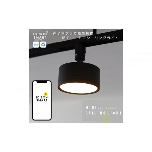 ふるさと納税 照明関連 福岡県 福岡市 エジソンスマートミニシーリングライト アーム付き(ダクトレール用) ブラック 福岡市 ブラック