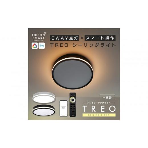 ふるさと納税 照明関連 福岡県 福岡市 エジソンスマート TREO シーリングライト ブラック 福岡市 ブラック