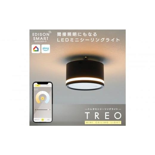 ふるさと納税 照明関連 福岡県 福岡市 エジソンスマート TREO ミニシーリングライト 引掛けシーリング用 ブラック 福岡市 ブラック