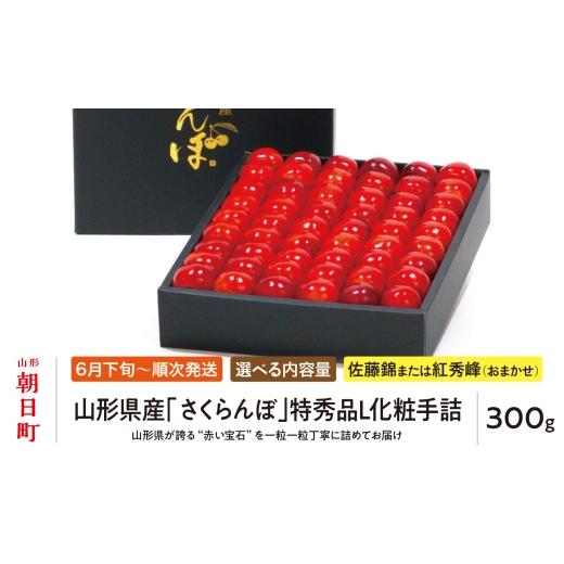 ふるさと納税 果物類 さくらんぼ 山形県 朝日町 先行予約 山形県産 さくらんぼ ( 佐藤錦 ・ 紅秀峰 ) 特秀品 L 化粧手詰 300g 2026年6月下旬から7月上旬発…