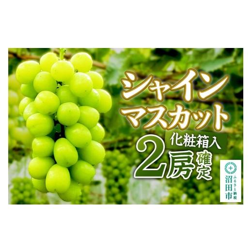 ふるさと納税 ぶどう マスカット 群馬県 沼田市 [2026年9月下旬〜10月上旬発送]先行予約 果実の里 原田農園 シャインマスカット 2房(計約1.0kg〜1.4kg)化…