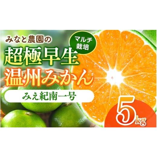 ふるさと納税 果物類 みかん 三重県 熊野市 数量限定 みなと農園のみえ紀南一号 (超極早生) 約5kg 2S〜Lサイズ混合 マルチ栽培 2026年9月中旬頃〜順次発送 み…