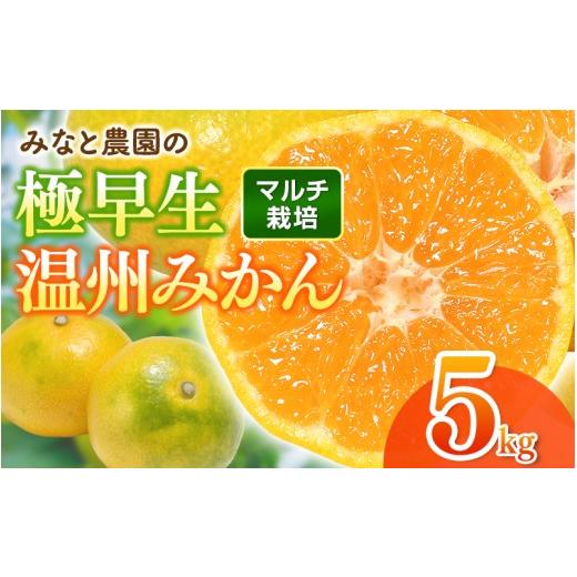 ふるさと納税 果物類 みかん 三重県 熊野市 数量限定 みなと農園の極早生温州みかん 約5kg 2S〜Lサイズ混合 マルチ栽培 2026年10月上旬頃〜順次発送 みかん …