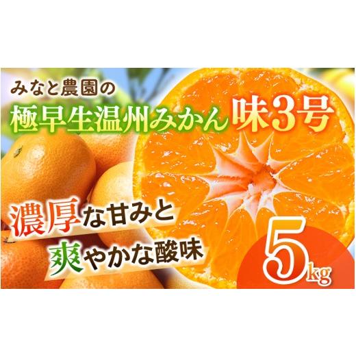 ふるさと納税 果物類 みかん 三重県 熊野市 数量限定 みなと農園の味3号 温州みかん 約5kg 2S〜Lサイズ混合 2026年10月中旬頃〜順次発送 みかん ミカン 蜜柑 …